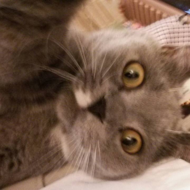 19ac2172 cfb6 4a2e b372 1bbf4681c516 1556410505078