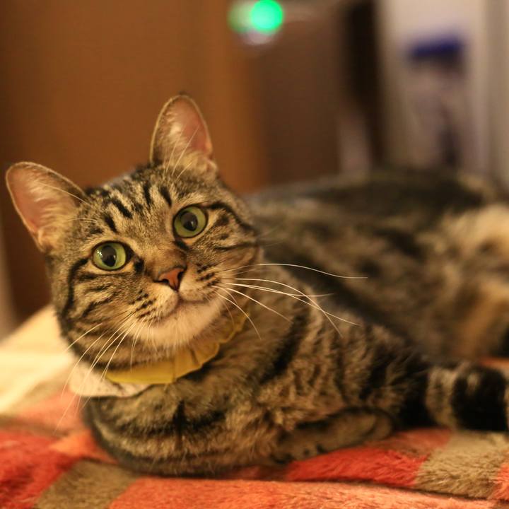 19ac2771 8699 4fe7 bc11 87a323e1c8d2 1699275158479