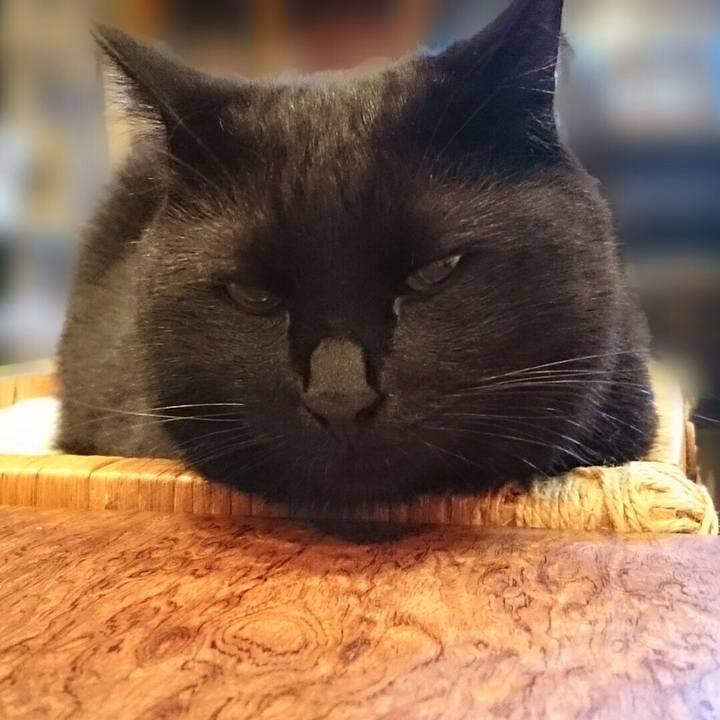 19ac4d8b afca 46df 98f9 63a77b3caa54 1532312651940