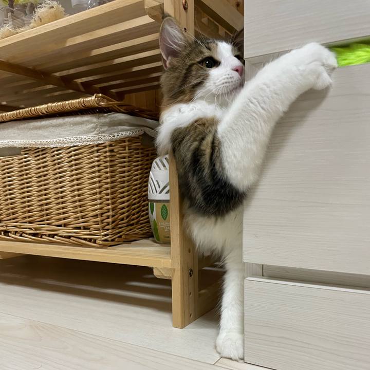 19ac5e58 a9ad 4a16 8ca9 f72bcbf2f7b3 1637961138158