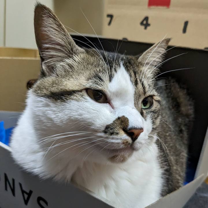 19acb146 47ea 48a2 8c07 0d6c2e0e235c 1706435414140