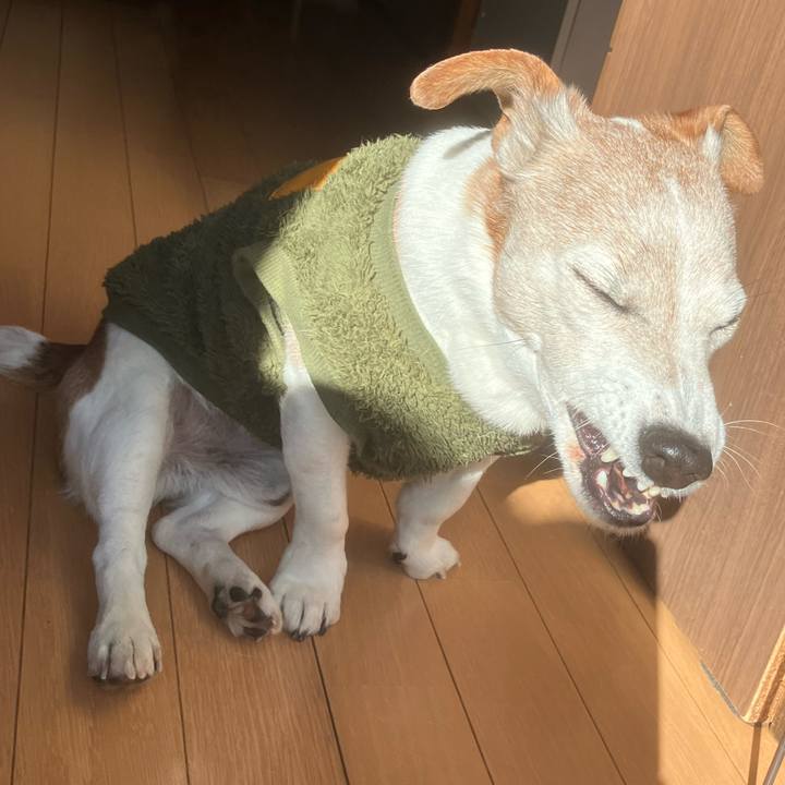 19acd89d 56a2 4995 801d 388555ddfe27 1767665125242