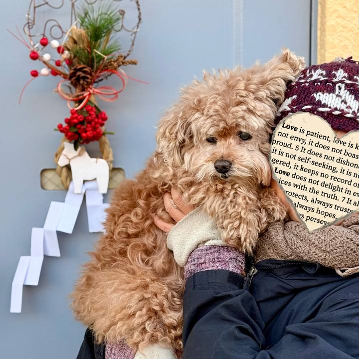 19ad0941 61c9 46a8 9e22 e78aa4701022 1767057956524