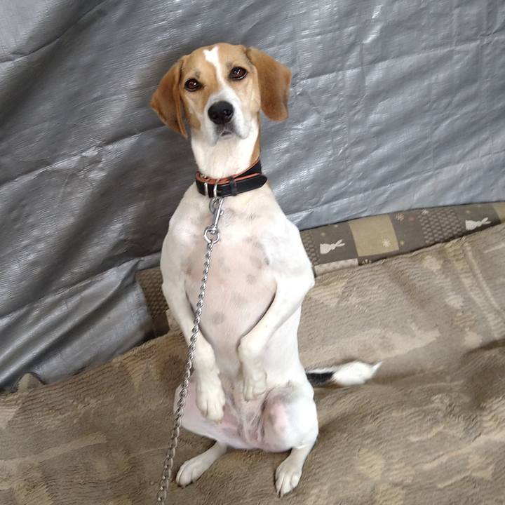 19ad5777 719f 46eb b6de 61ab76da95f6 1631692750428