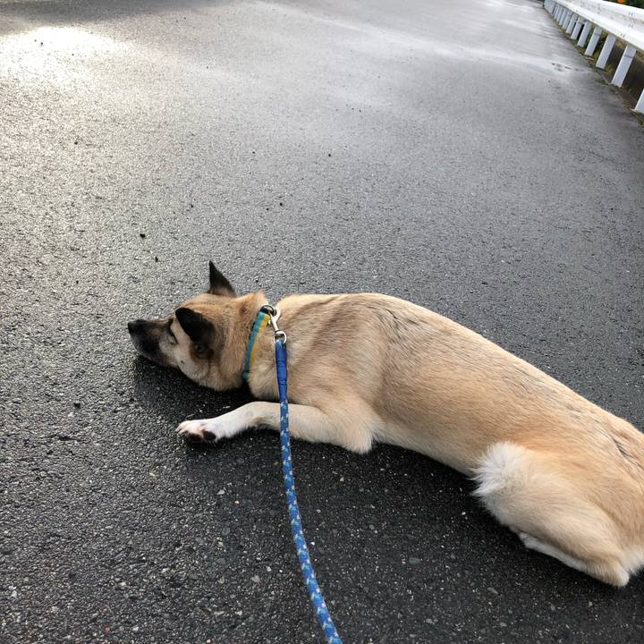 19ad7ac8 cf78 4f33 8c9d caa5733c2472 1599824685690