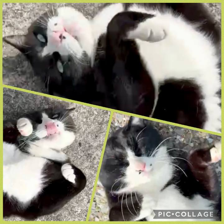 19ad8713 9b1f 4857 aa7d 464b326dbfe4 1774621934314