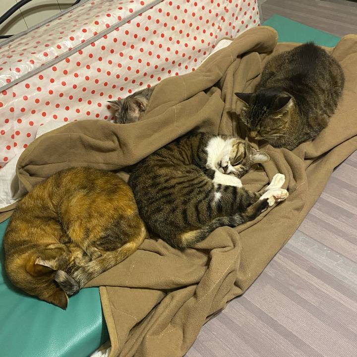 19adab13 6f92 4b2b 8db2 df54c619517f 1611488305082