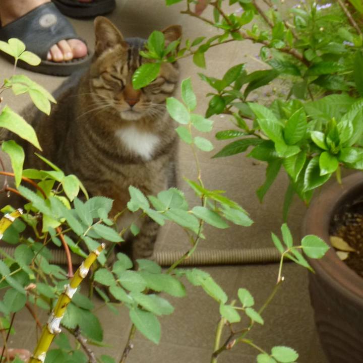 19add2a0 a936 4e9c 9d6a 4ef8e912a941 1730373823771