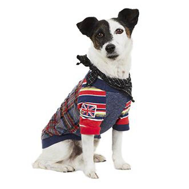 19ae0134 5dd1 4c66 9b1a 53cb5688d0c7 1765457648151