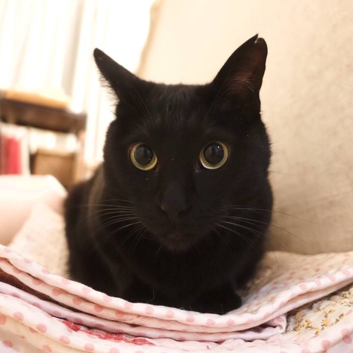 19ae767d fe0b 46e2 9f5a 450ffcde4f72 1541911106961