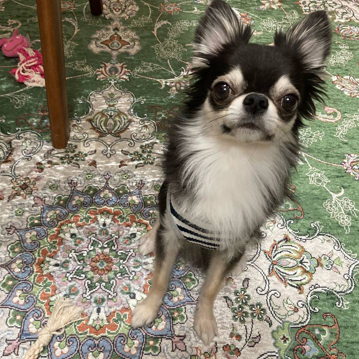 19ae9422 50cb 47ef 94e6 f22634705796 1653745454082