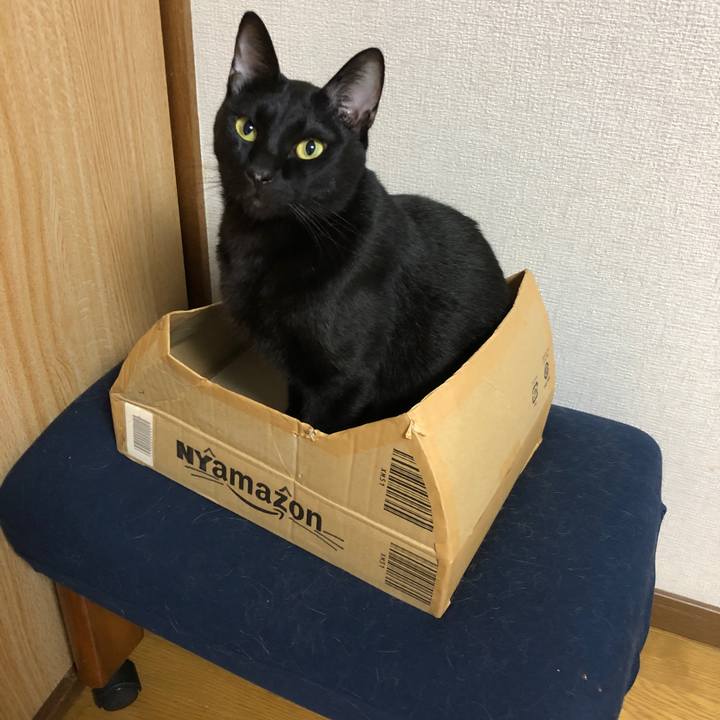 19ae94e7 fcfc 4e0c af3e b6ef7b30ff63 1663421477528