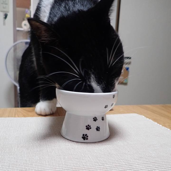 19aebc17 d6f2 4561 ba8f 3cad3ecb1508 1535369271321