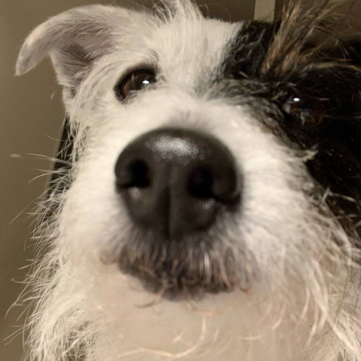 19aed84b 76c8 450f 9061 e571c21e7278 1642418599205