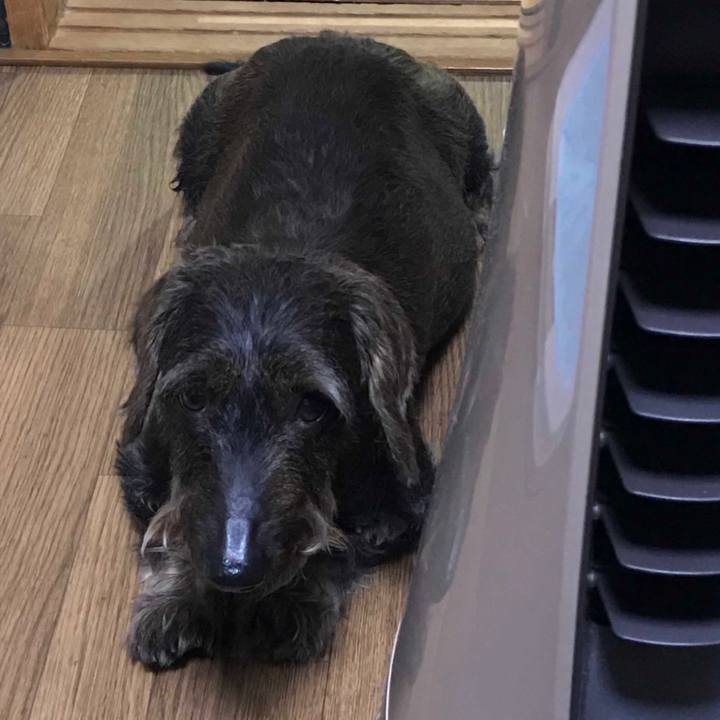 19aef477 911b 468a 97bf 32c0d5c4e5c9 1530539792158