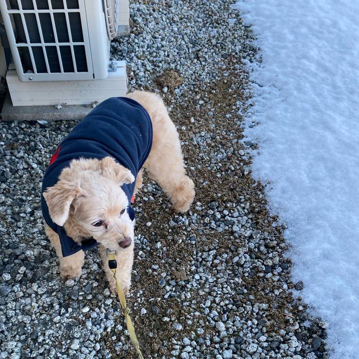 19af0161 3ac7 491d b218 d9a01371427b 1610533602910