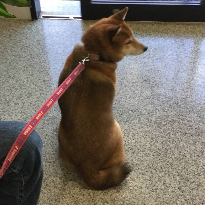 19af21d9 c1c3 4e5c 8d92 f576a3f89a34 1546505885633