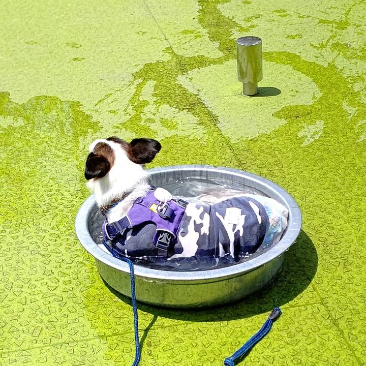 19af245c 7e93 4482 8973 061baf7f2565 1627446932756