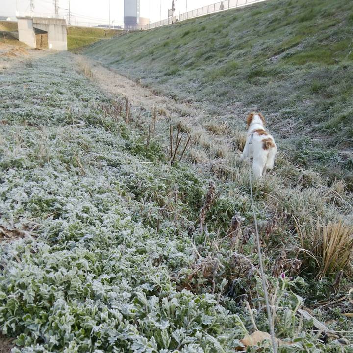 19af2e41 f159 4f05 b686 dc745d0e8c15 1552615151521