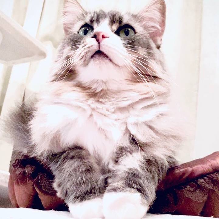 19af6962 e3d3 4b81 a99a b6fbe6345bae 1600968415810