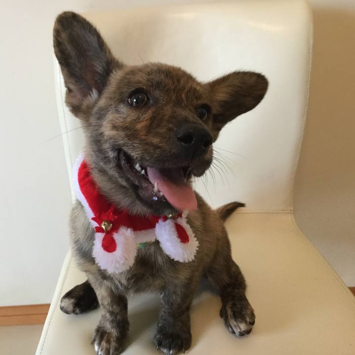 19af76b0 f659 4864 99c0 ebd3985b58d1 1544965579669