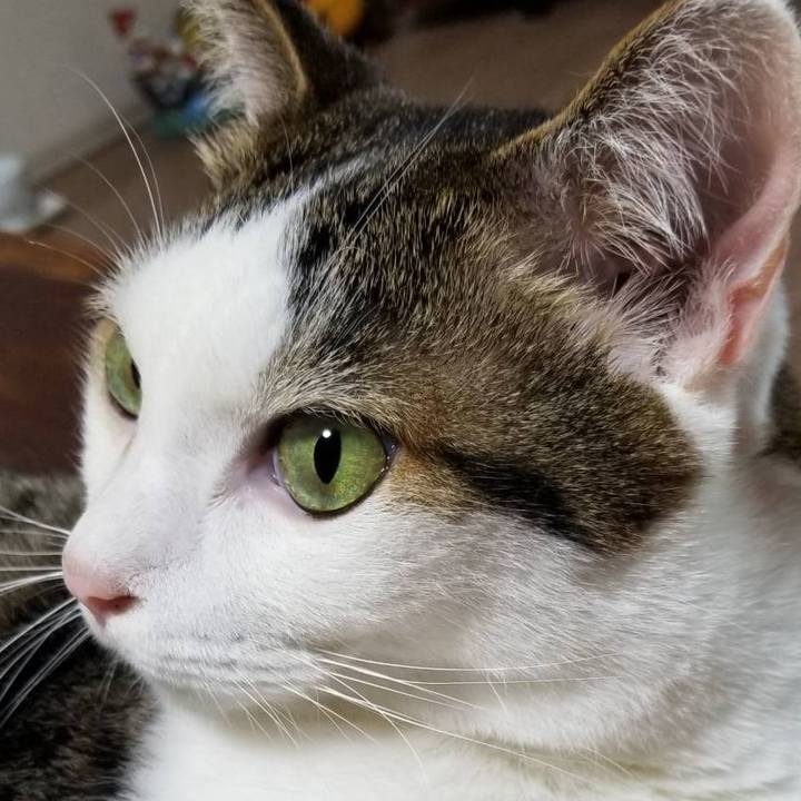 19af89f4 ee5e 465a 8b93 518748dfd60e 1565395179109