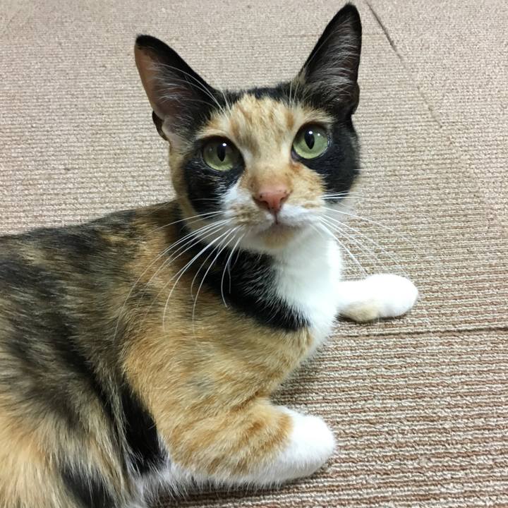 19af8af7 e94b 489d b67a fa20df40066a 1517832123875