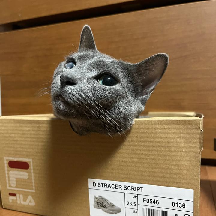 19af8fb9 d0ef 4bbd 935a 09514777f32e 1682763711501