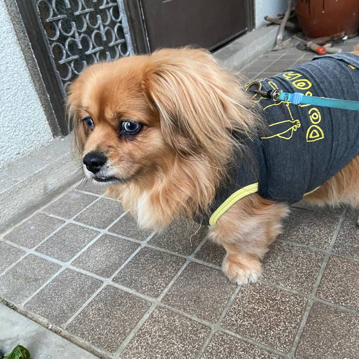 19afa297 8b92 4cf5 ac46 843fb8257e36 1643753268903