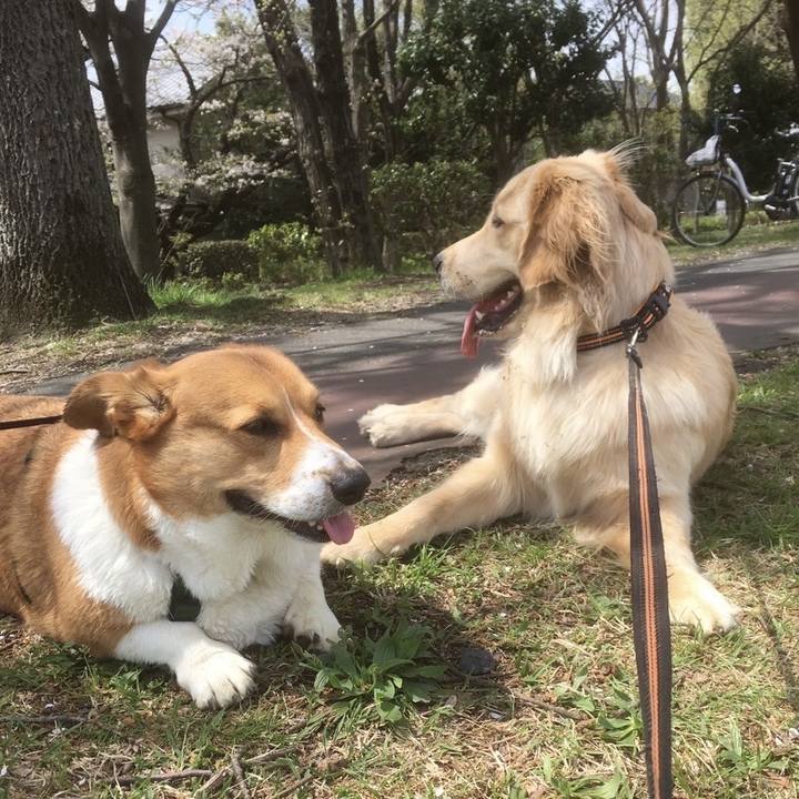 19afa658 f055 4f5c 9a37 2065c42ffd2a 1712880722189