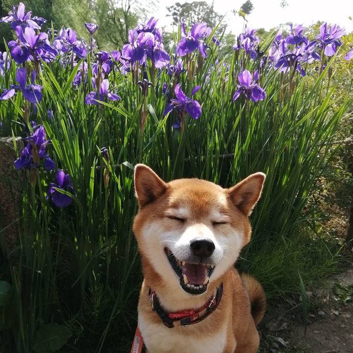 19afcad9 f7bf 4c74 aac0 4e8022cc6e4f 1682752187396