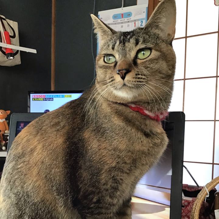 19aff866 1802 4805 9b6f 73c5e52039d4 1609550806899