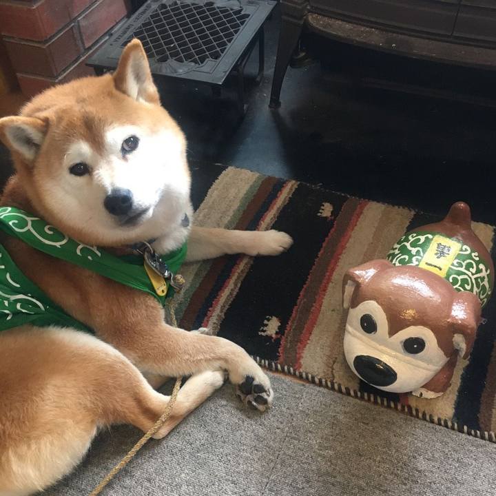 19b01562 f192 41af b308 362dfd61fa6e 1585456395023