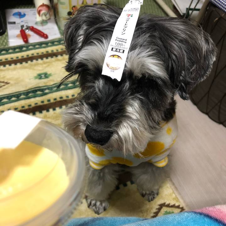 19b01d23 ca5b 42ec bd51 0793fdbb2e01 1645621649661