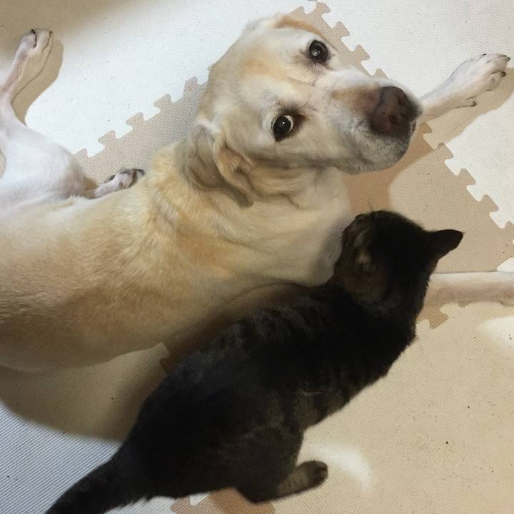 19b03a9d daef 4677 ba16 d7db890ded28 1559437668455