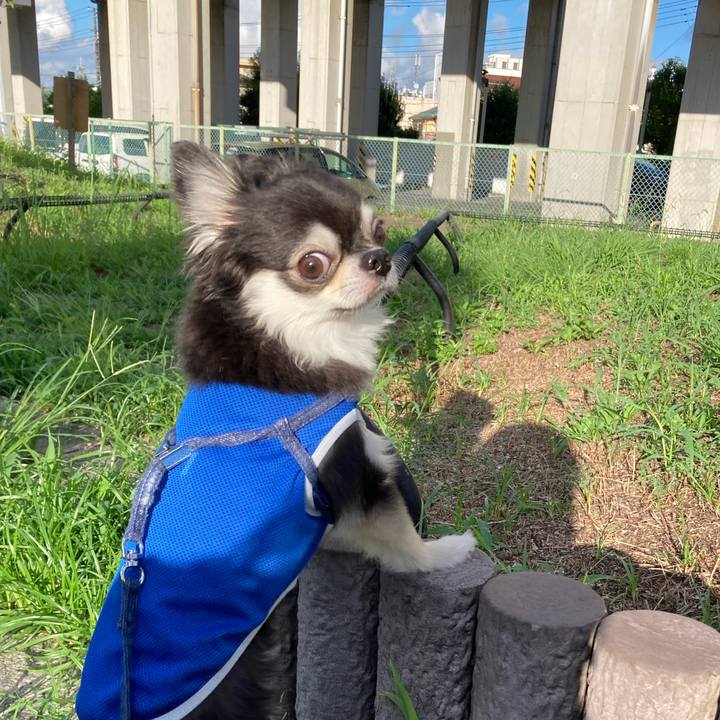 19b0542c 10ba 457e 887a 3ef09bfd1f35 1693063937300