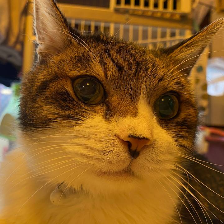 19b06437 2a3a 4927 922d f53fbd5123c9 1631360992040