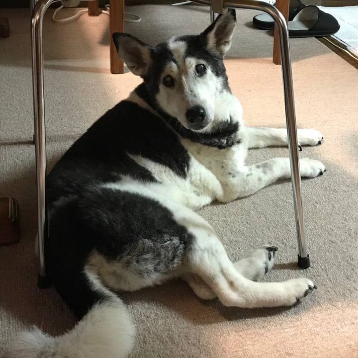 19b0741f ce37 4d93 ac97 1e22423381df 1566044563605