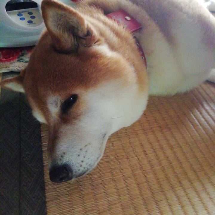 19b0747c 8649 4024 bedc 14bb408fbfc7 1654760203478