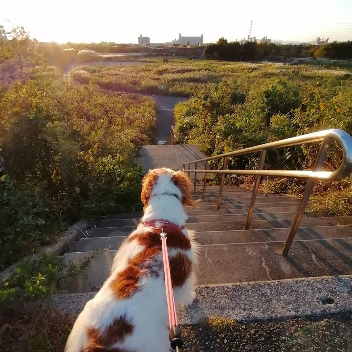 19b0bb21 958d 43e3 99cb 0025e0df615f 1603539284718