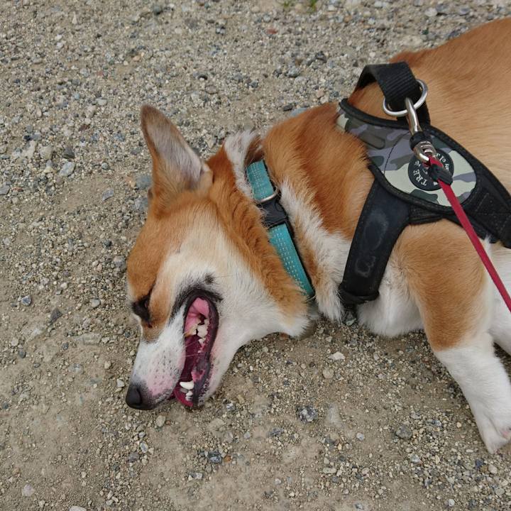 19b0bf71 1215 4122 a405 5caa5c80eb91 1624929874211