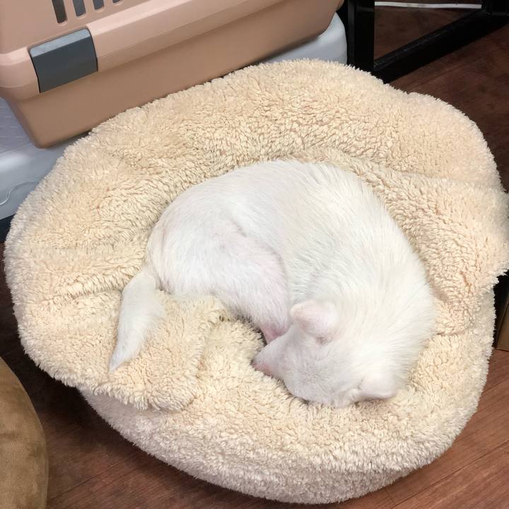 19b0c5f9 5622 456b 88af 4e8e77328107 1609416426767