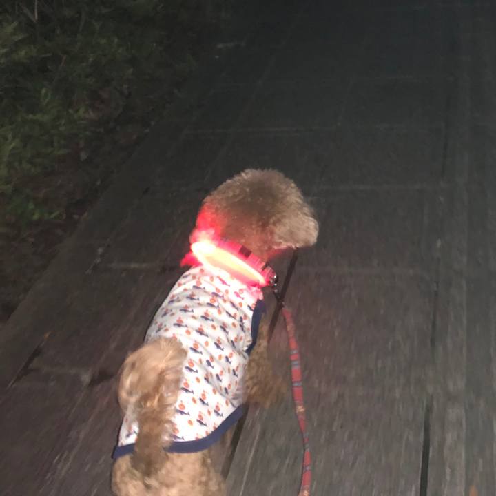 19b0cea8 e4b4 4c4a ab85 59a76b9f83f4 1566921032178