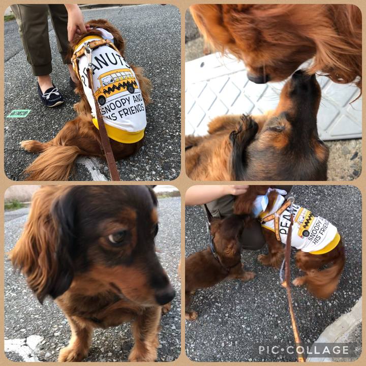 19b0d246 cb28 4b7f 9159 25afb396da8f 1627046694425