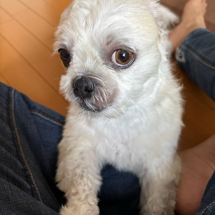 19b0d7b8 9294 4d12 91dd bcc9918b1999 1759700907681