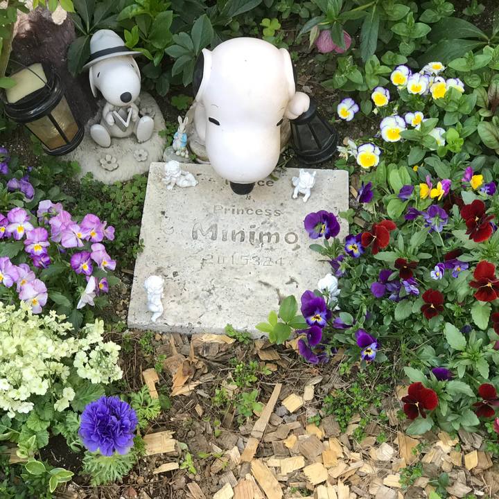 19b0f369 e64a 40a2 b901 75821efa3ab8 1553407522205