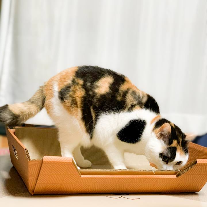 19b120d5 ead8 4929 baf3 a5ab366f566a 1585274306571