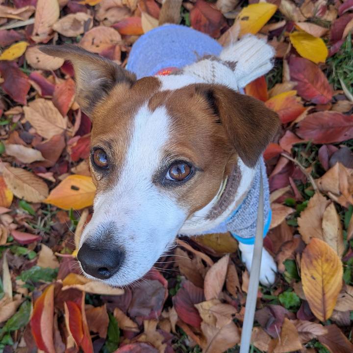 19b13047 628f 48e7 a703 cd16edd54b54 1763816772797