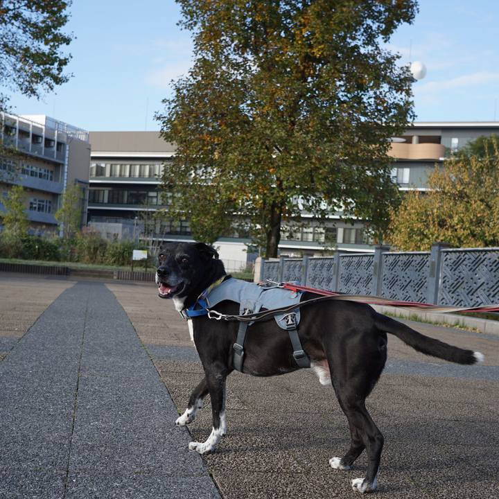 19b142ff af0b 459f ac0e ebd9f85c0ee0 1761786416754