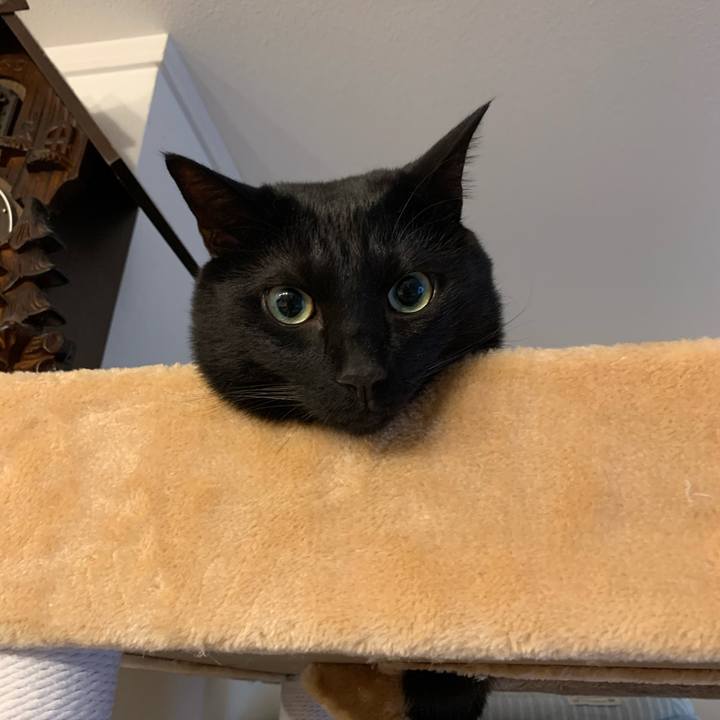 19b15123 8b21 4d26 ac96 dc00d8d7a2af 1589618215038